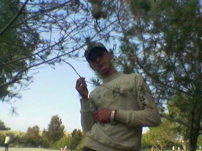 yassir